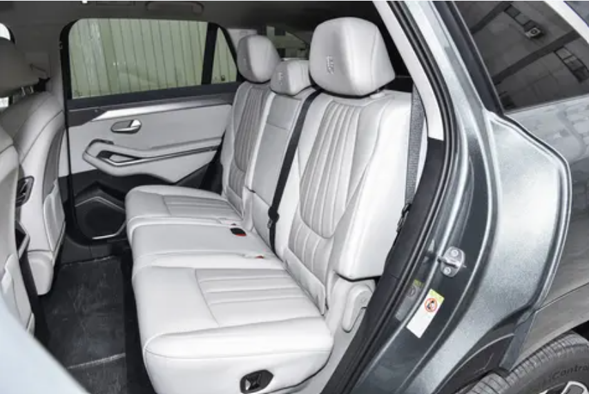 BYD TANG L