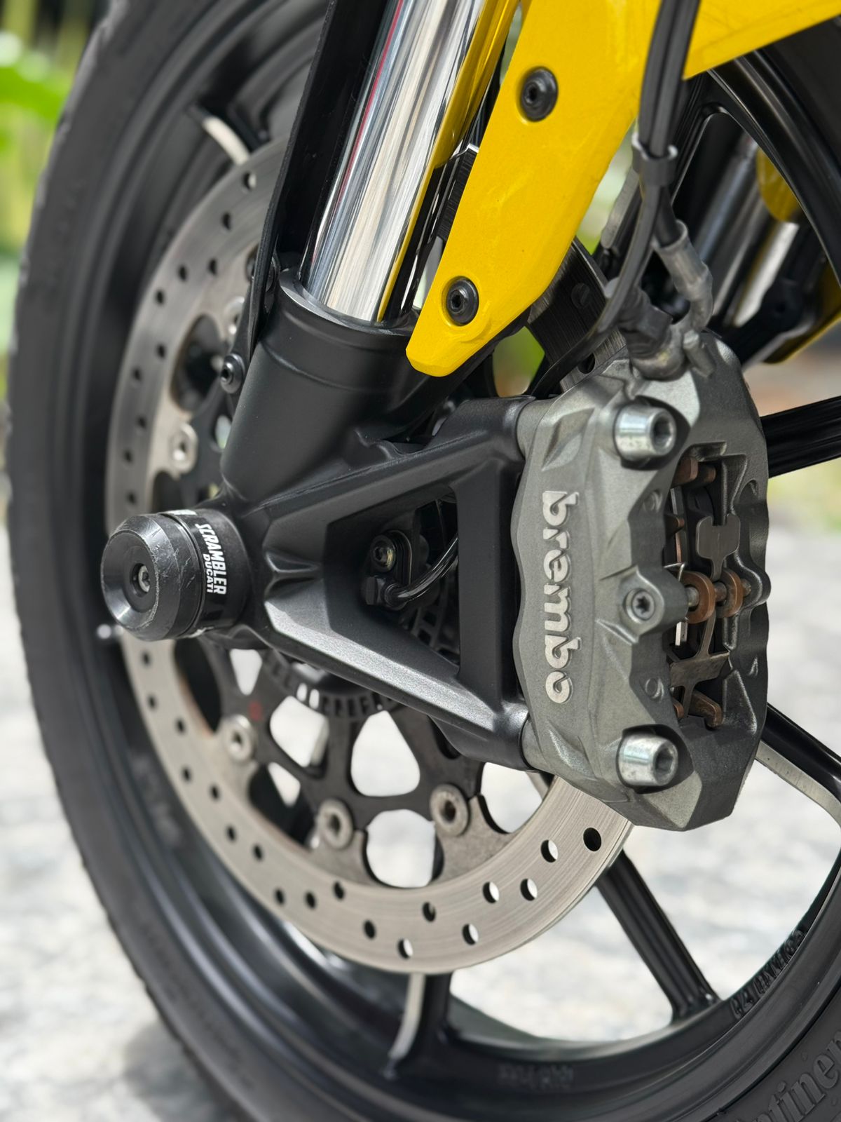 Ducati Scrambler Icon 2020