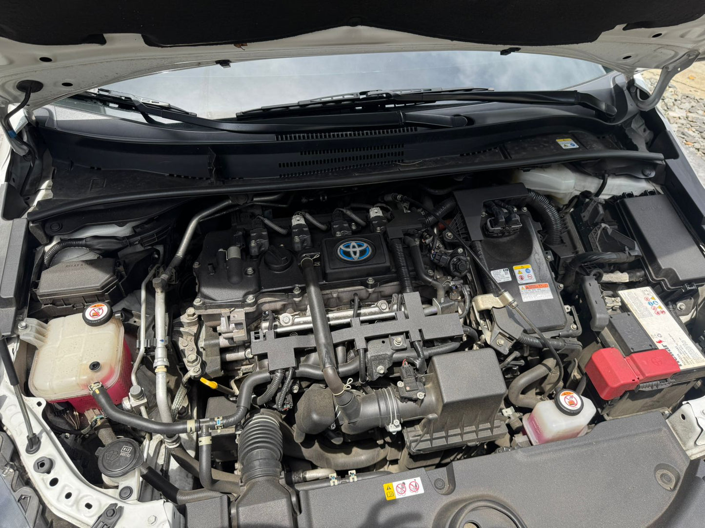Toyota Corolla Seg Hibrida 2023