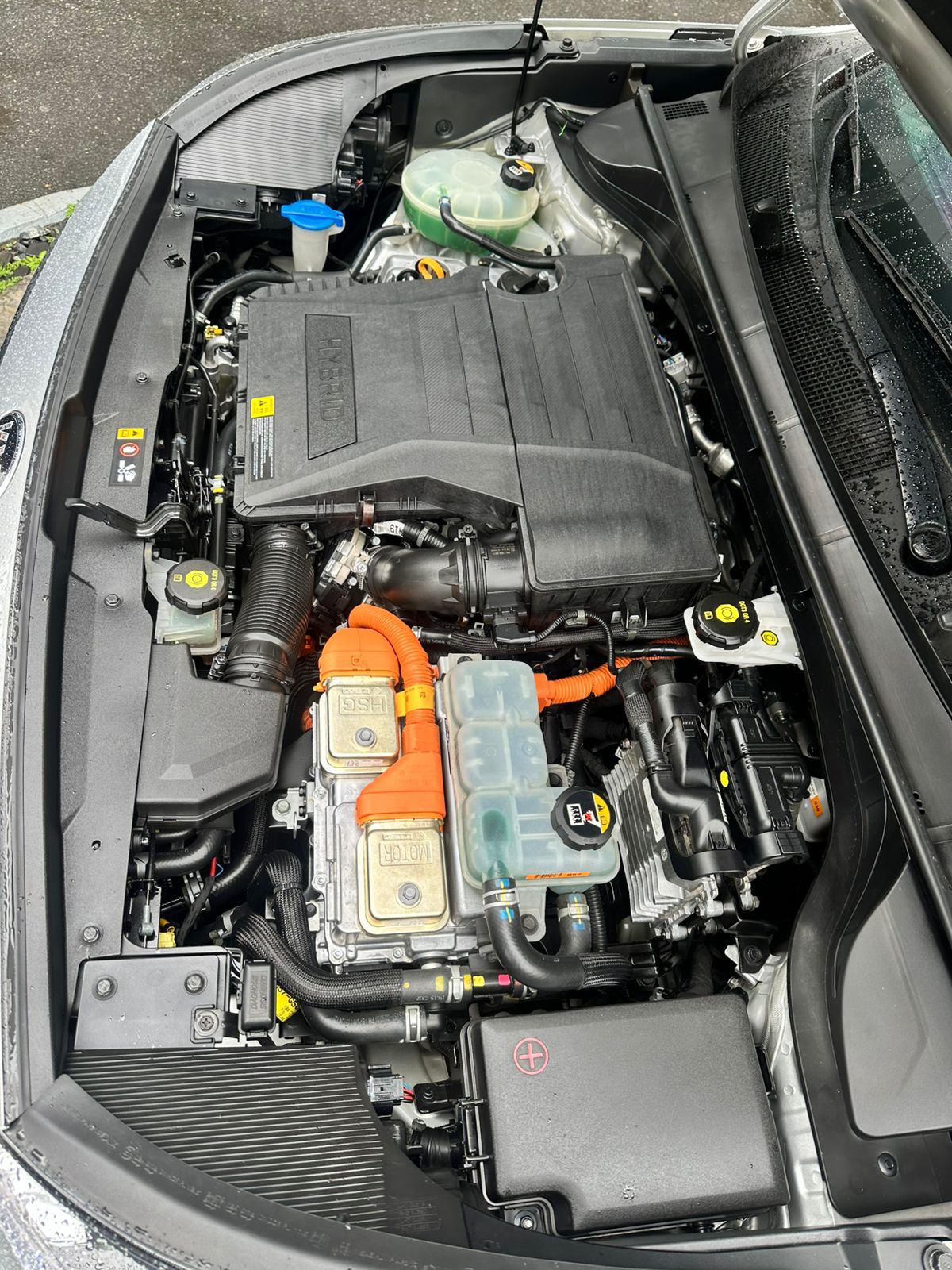 Kia Niro Zenith Hibrida 2020