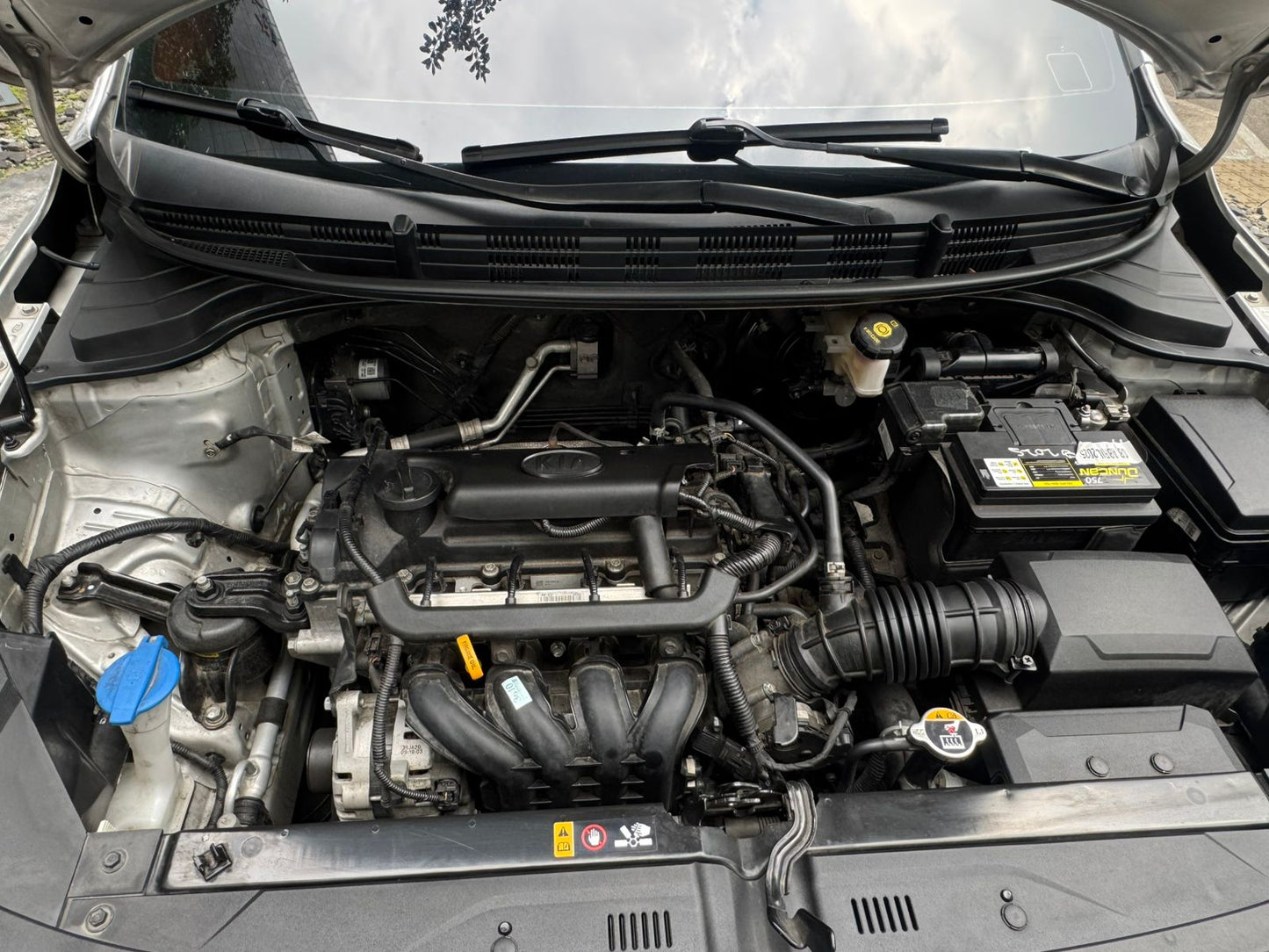 Kia Rio Vibrant 2022