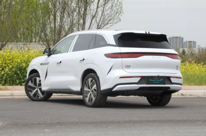 BYD TANG L